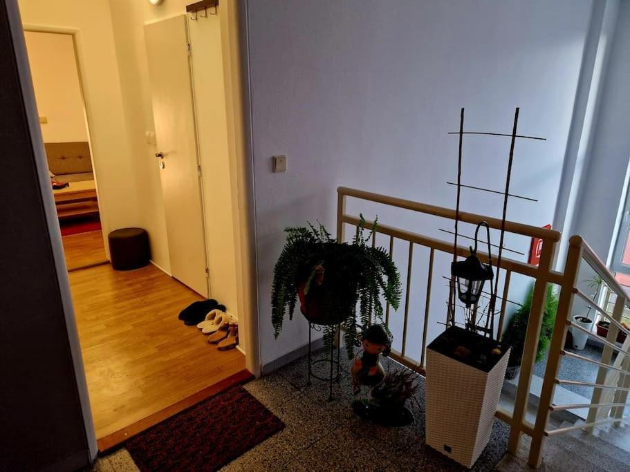Slnecny Byt V Blizkosti Historickeho Centra Trenčín Exteriör bild